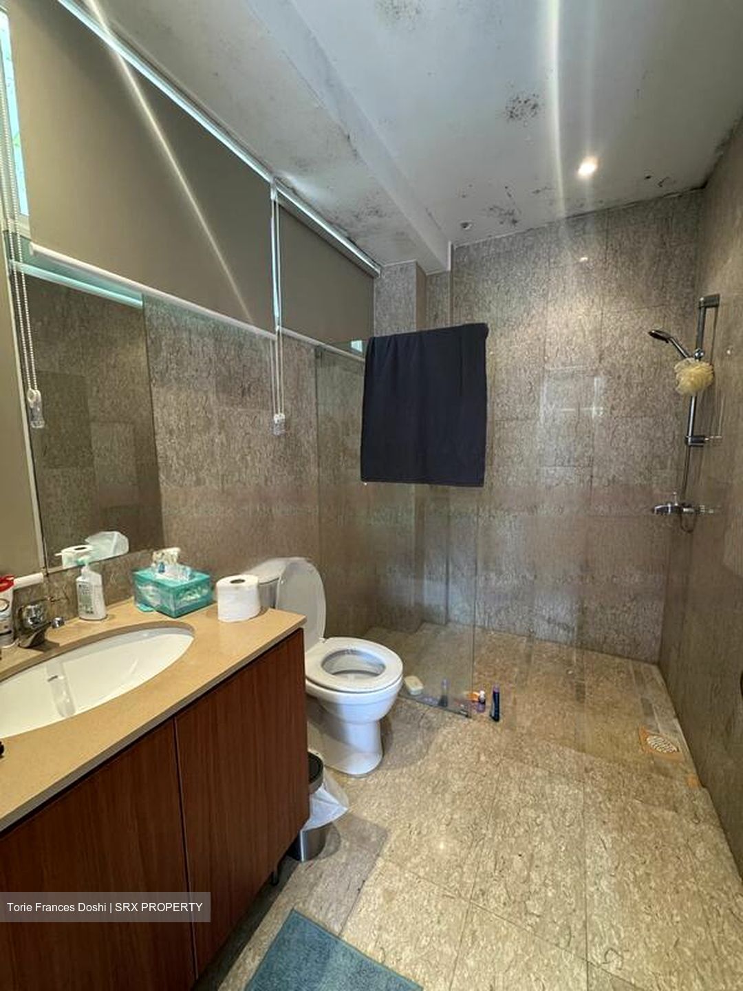 Clementi Park (D21), Detached #454206701